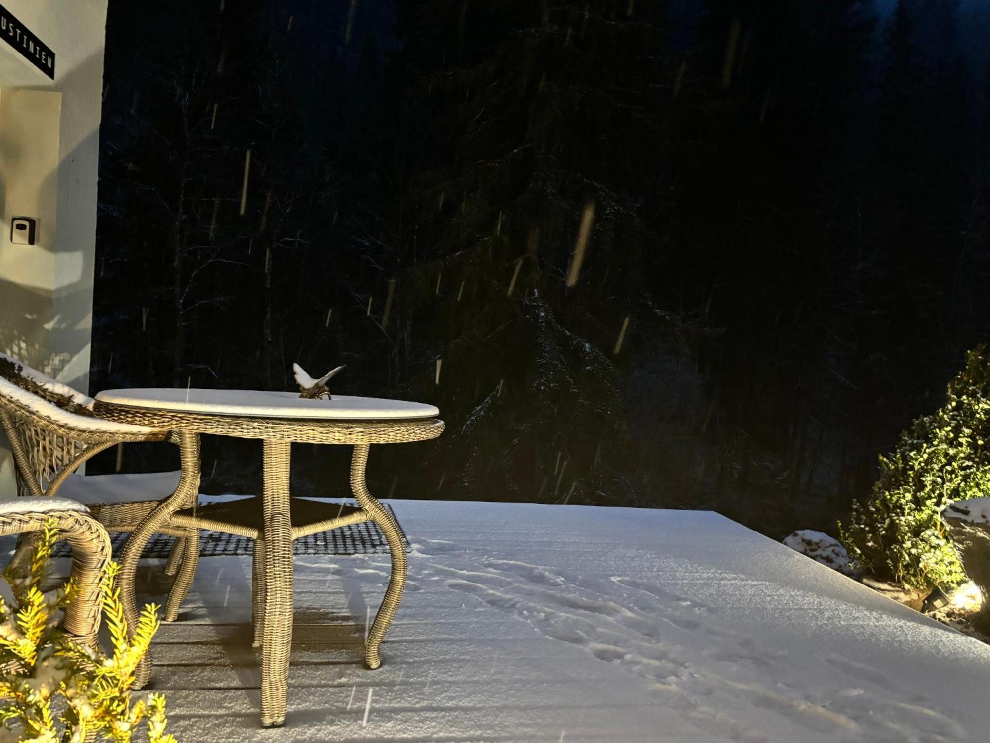 Les Secrets - & Appartement Montriond