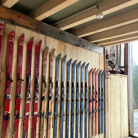 Les Secrets - Suites & Apartments Montriond Extérieur photo